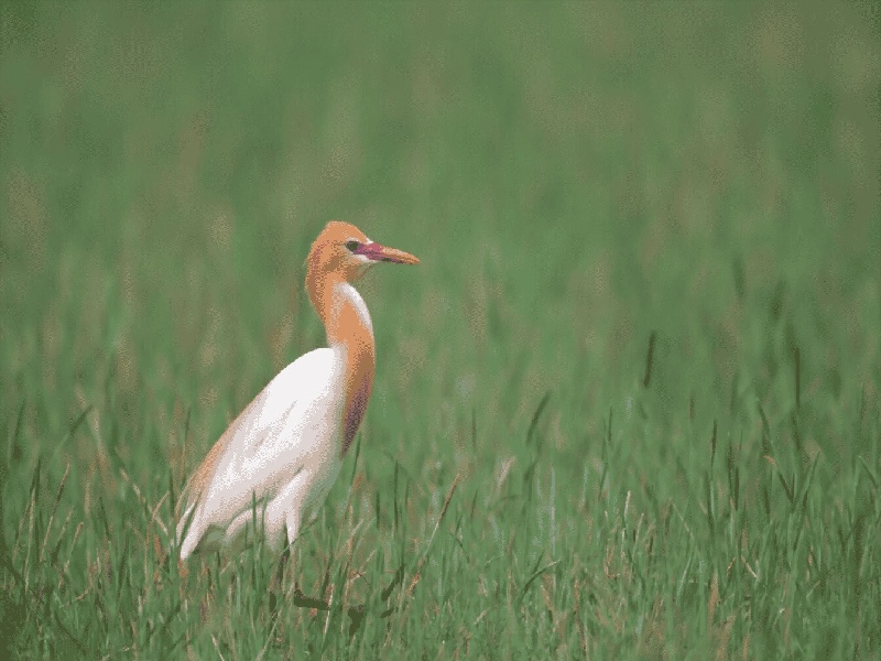 让医生同意试管咸阳试管供卵试管的婴儿婴儿